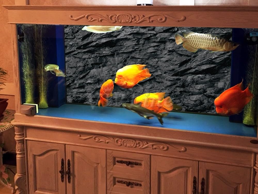 VIP Line 3D underwater cave design backdrop provides natural hiding spots.