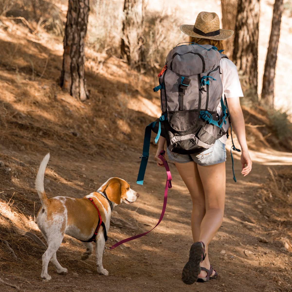 Designed for tracking, training, and Schutzhund-style exercises with odor-free performance.