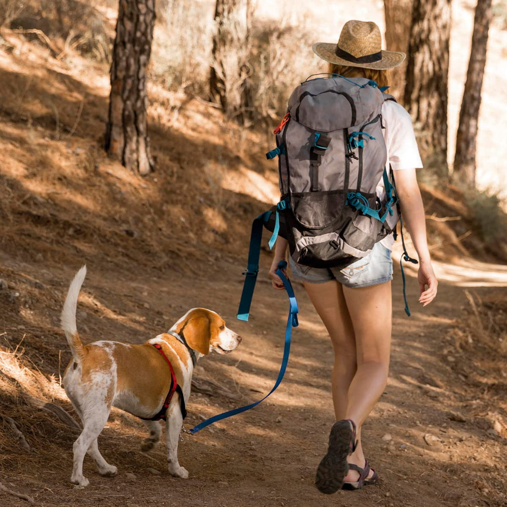 Viper Biothane K9 leash flexible core stays comfortable across weather.