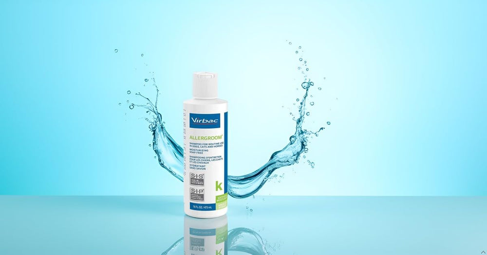 Virbac Allergroom skin-coat closeup showcases improved coat condition and healthier skin.