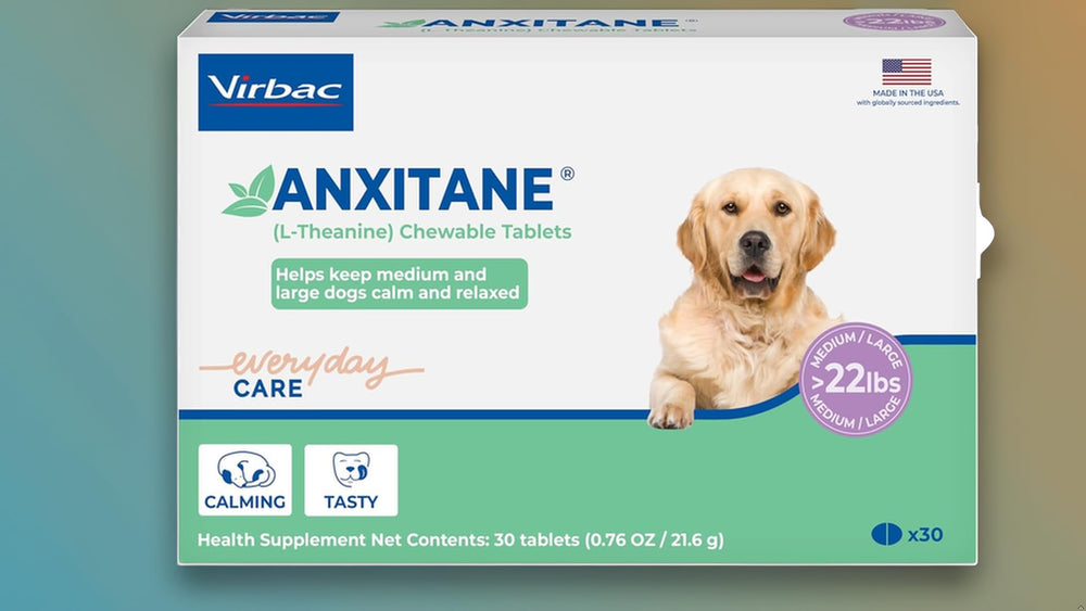 Virbac ANXITANE tablets travel-ready calm during car rides.