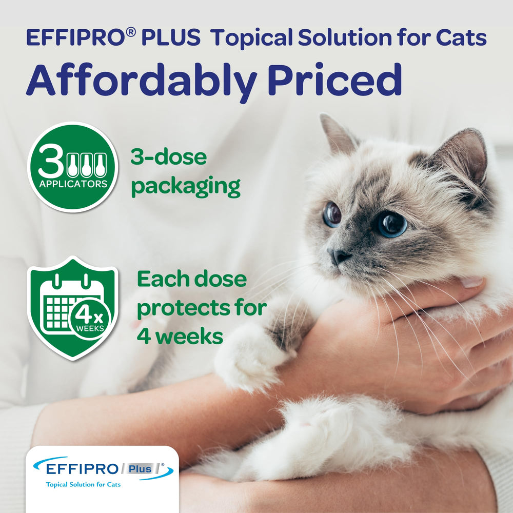 Virbac Effipro Plus cats safety note about dog formulations.