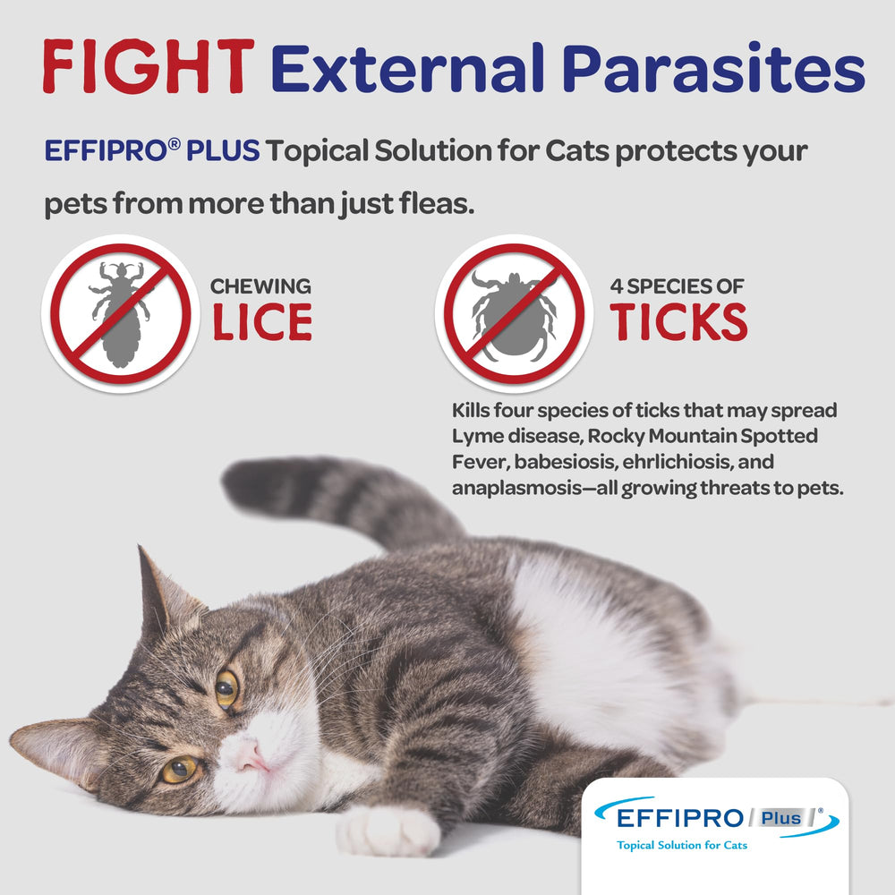 Virbac Effipro Plus cats four-week duration of protection.