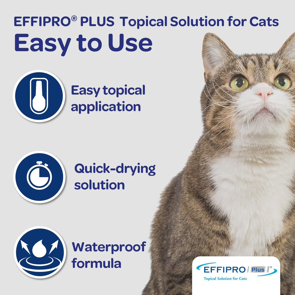 Virbac Effipro Plus cats packaging displays manufacturing date.