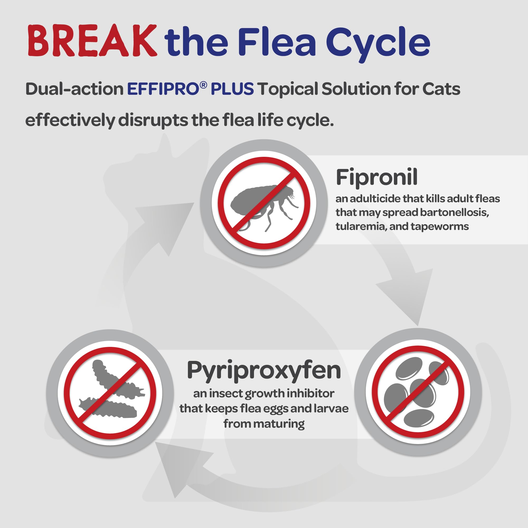 Virbac Effipro Plus cats waterproof formula after bathing or water exposure.