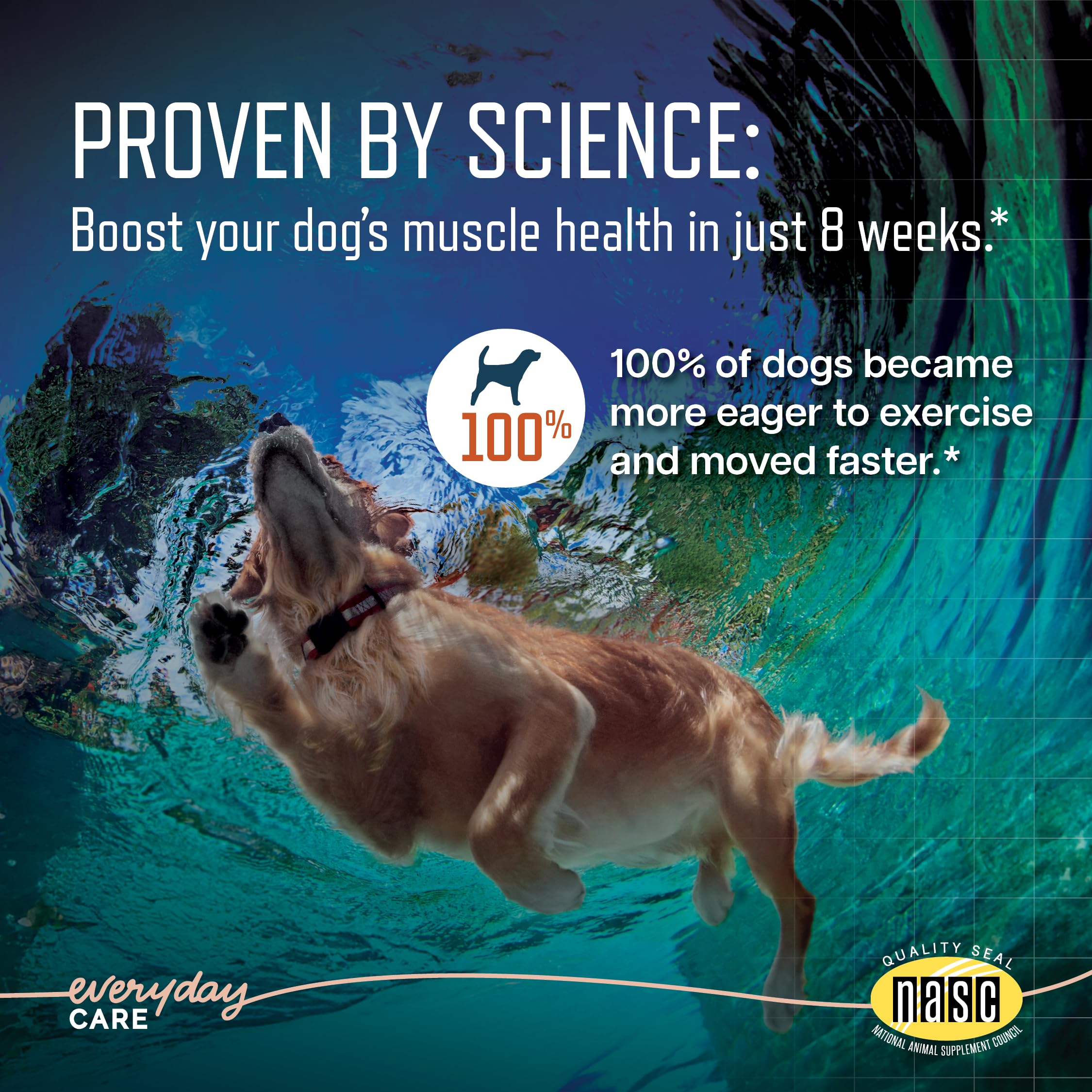 Virbac URSOLYX bacon-flavor chew closeup promoting easy administration