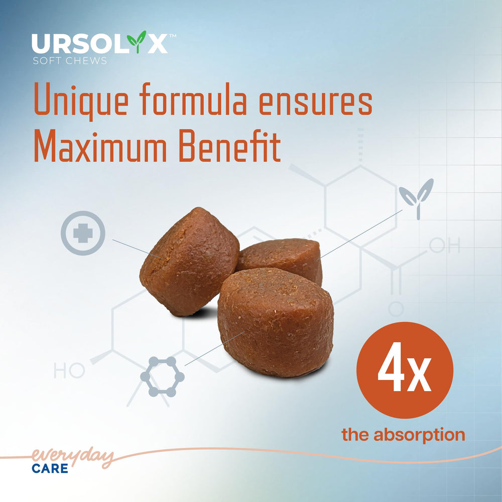 Virbac URSOLYX dosing guide shows simple once-daily routine