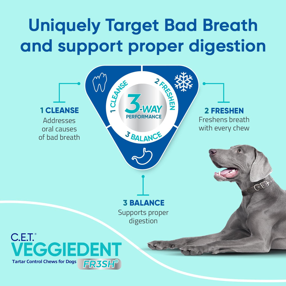 Virbac VeggieDent FR3SH chew in hand emphasizes breath-freshening potential.