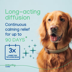 Virbac ZENIDOG collar on a relaxed dog hints at calmer travel and vet visits.