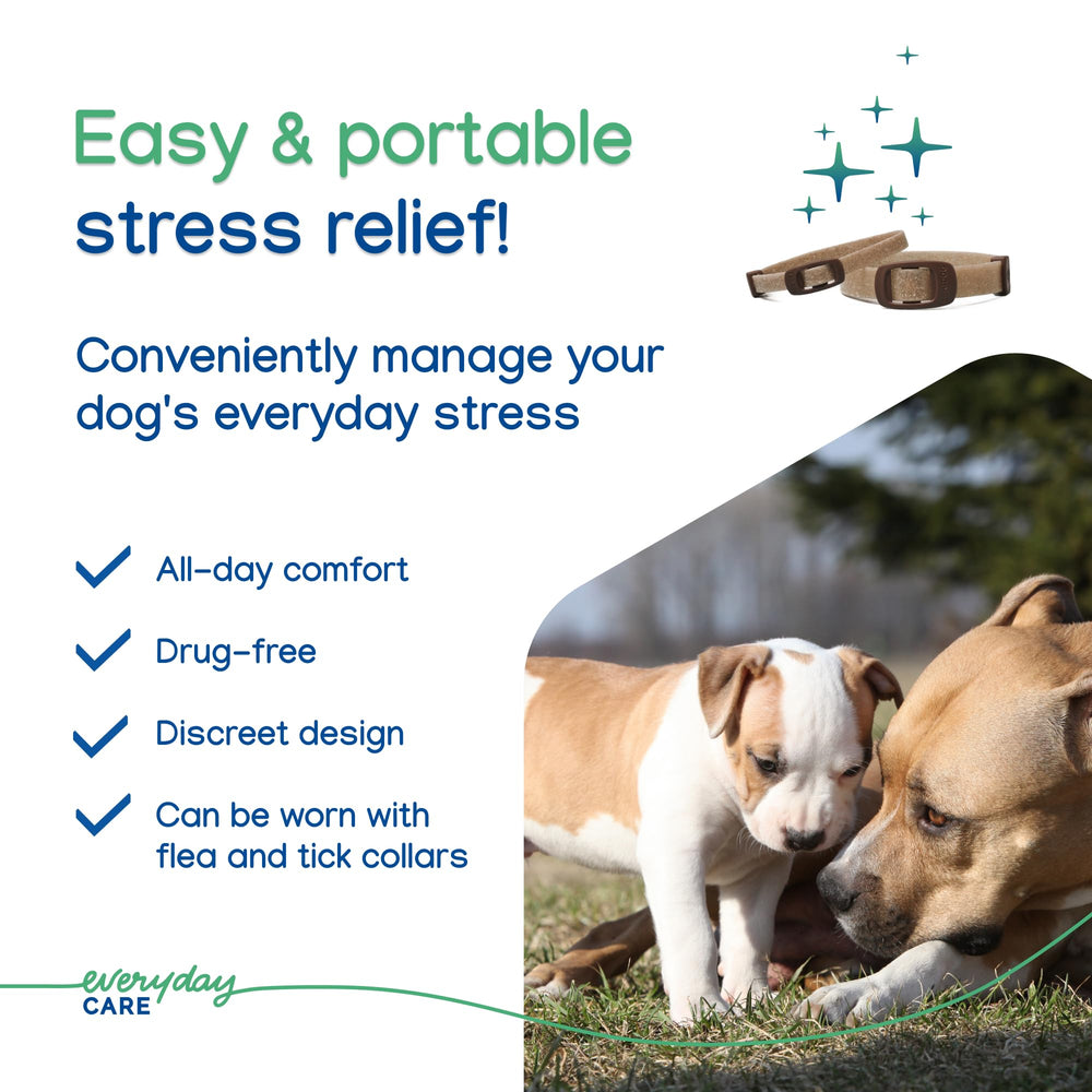 Virbac ZENIDOG collar beside flea-tick collar illustrates compatibility in care routines.