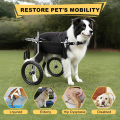 Virbraroo dog wheelchair fit adjustment highlights customizable height and length.