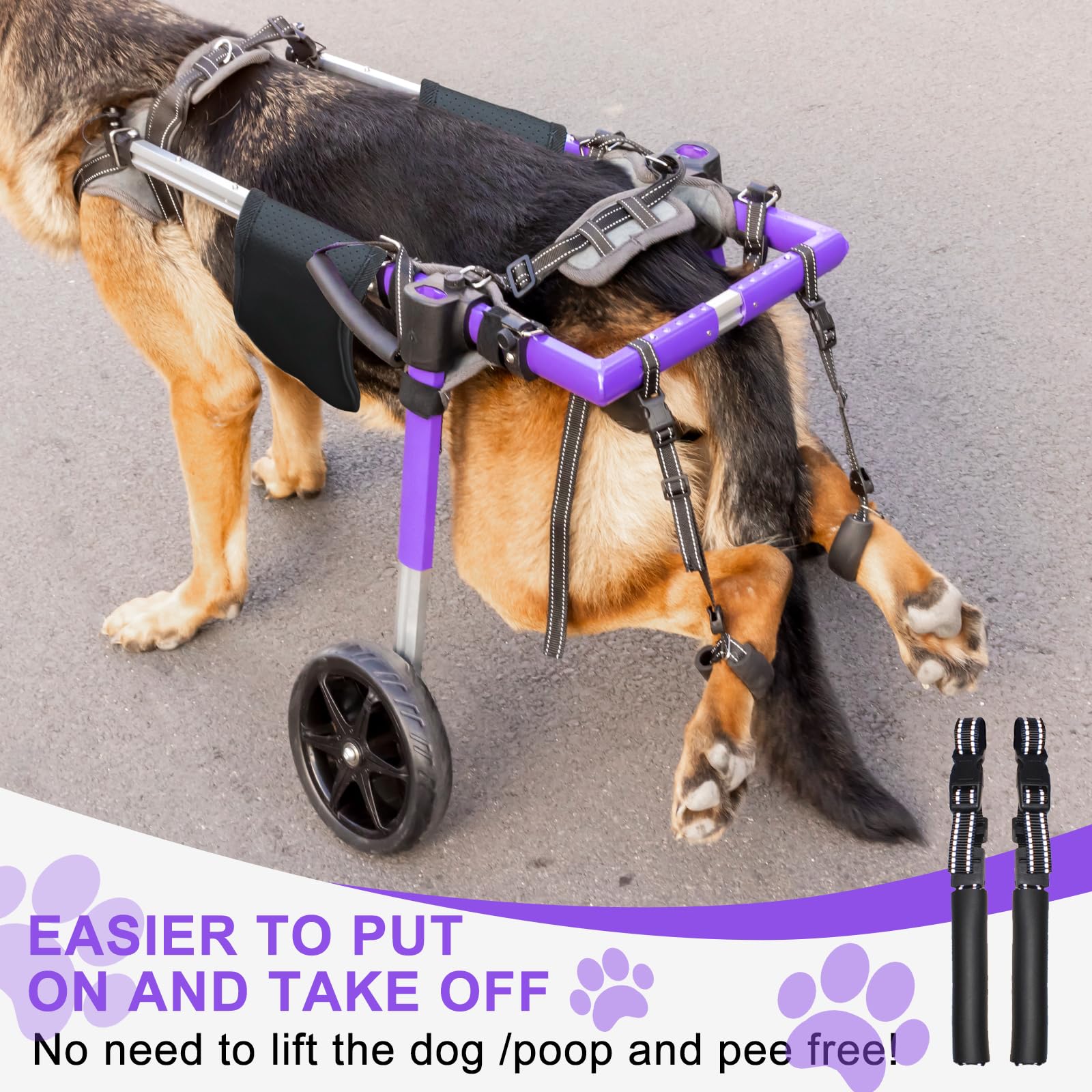 Virbraroo lightweight frame supports recovery and aging pets with dependable mobility.