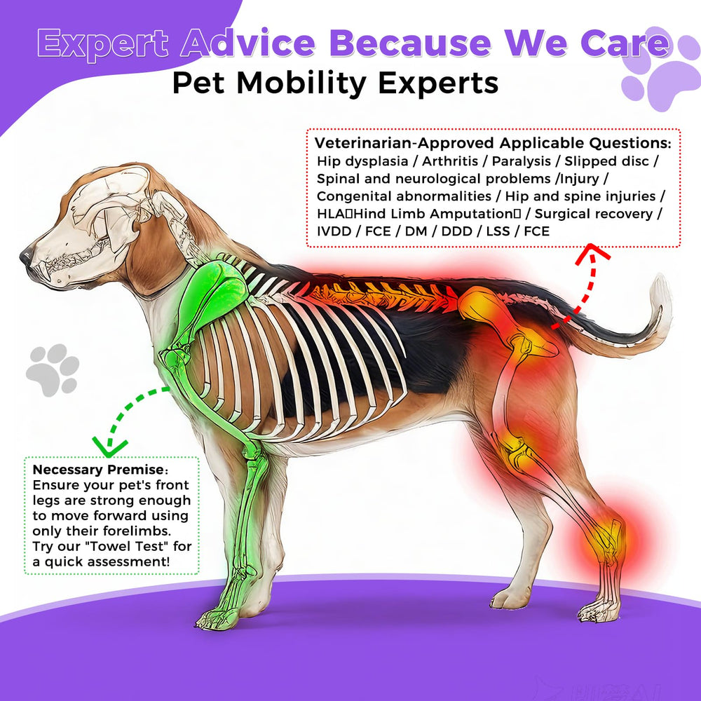 Virbraroo adjustable-fit design adapts to your dog’s unique body for personalized support.