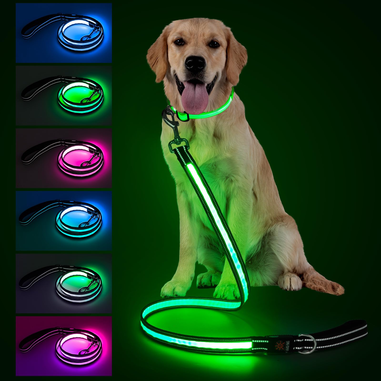 Visinite 4ft LED dog leash with light on for night walks