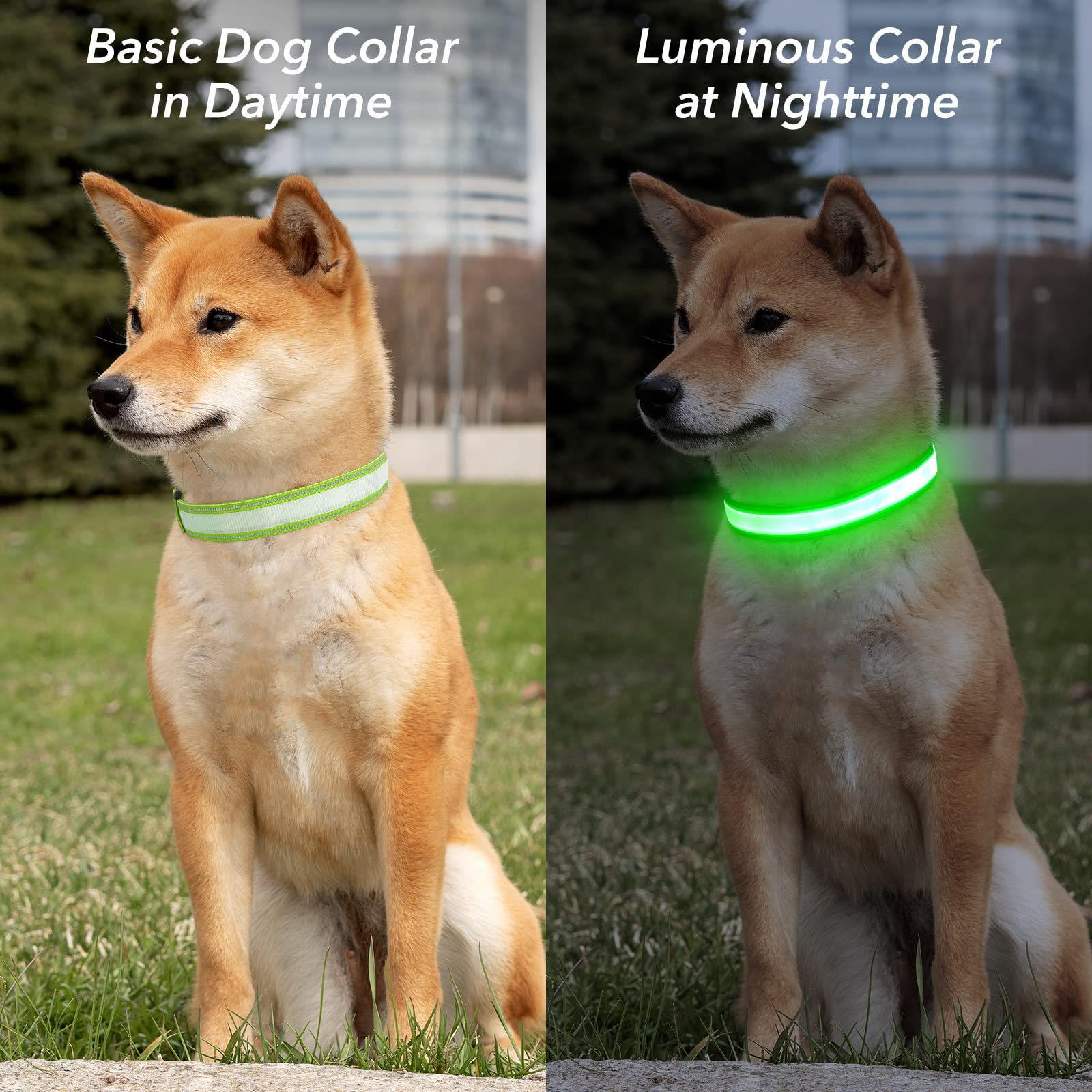 Visinite light up dog collar secure buckle and D-ring enable reliable leash attachment