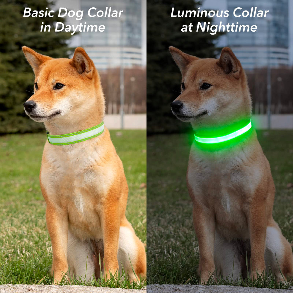 Visinite light up dog collar secure buckle and D-ring enable reliable leash attachment