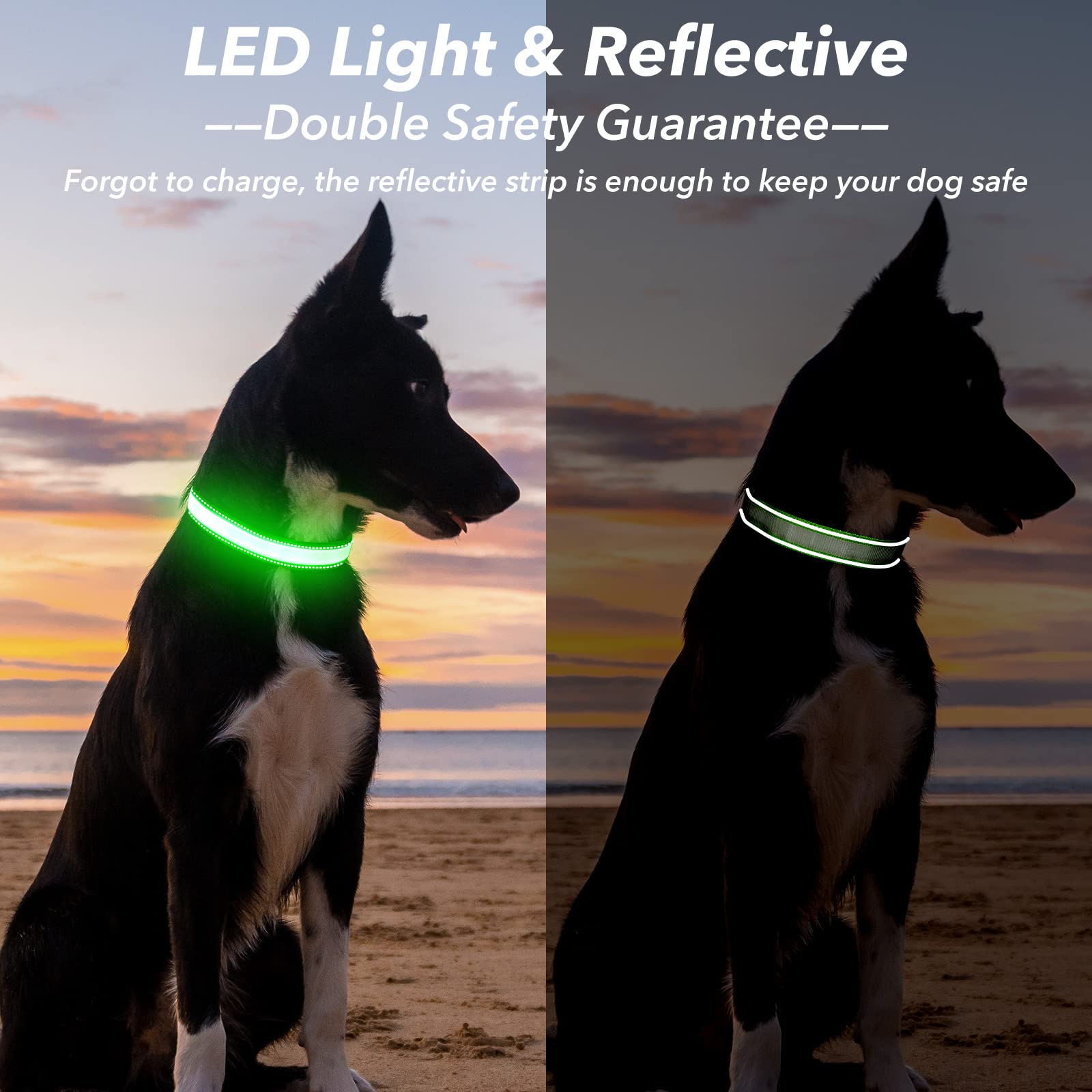 Visinite light up dog collar size options ensure a secure fit for all breeds