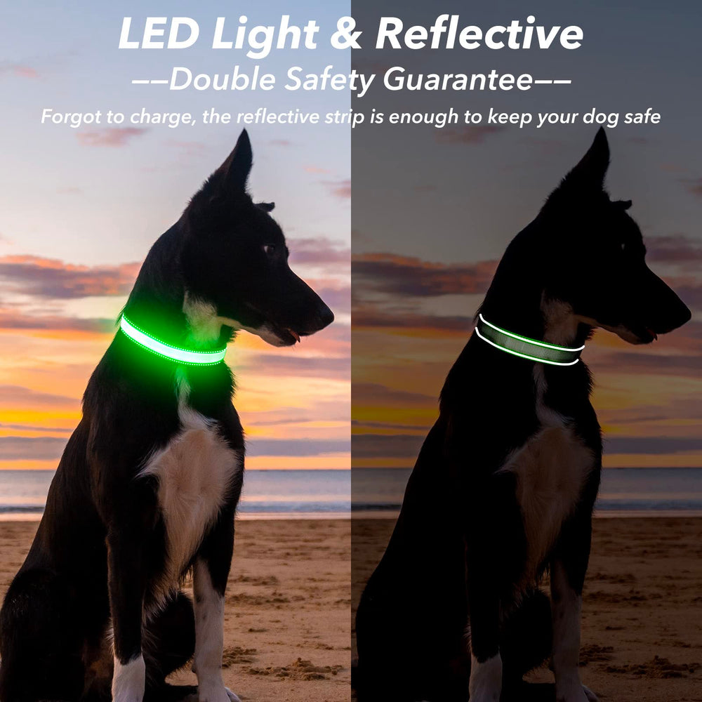 Visinite light up dog collar size options ensure a secure fit for all breeds