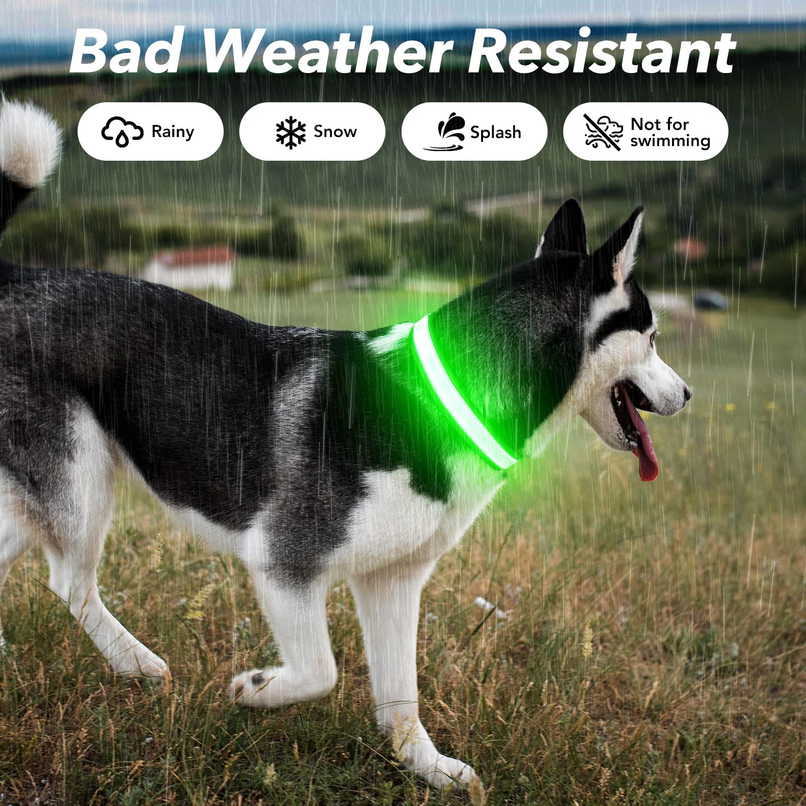 Visinite light up dog collar water-resistant design supports outdoor adventures in rain