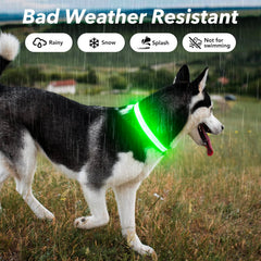 Visinite light up dog collar water-resistant design supports outdoor adventures in rain
