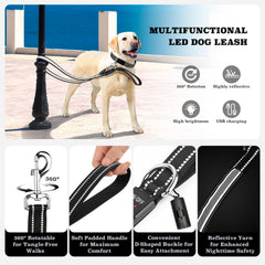 Visinite USB-rechargeable leash charging for long evening walks