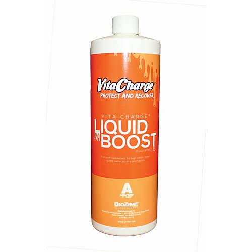 Vita Charge Liquid Boost 32 Oz bottle supports livestock digestion during stress