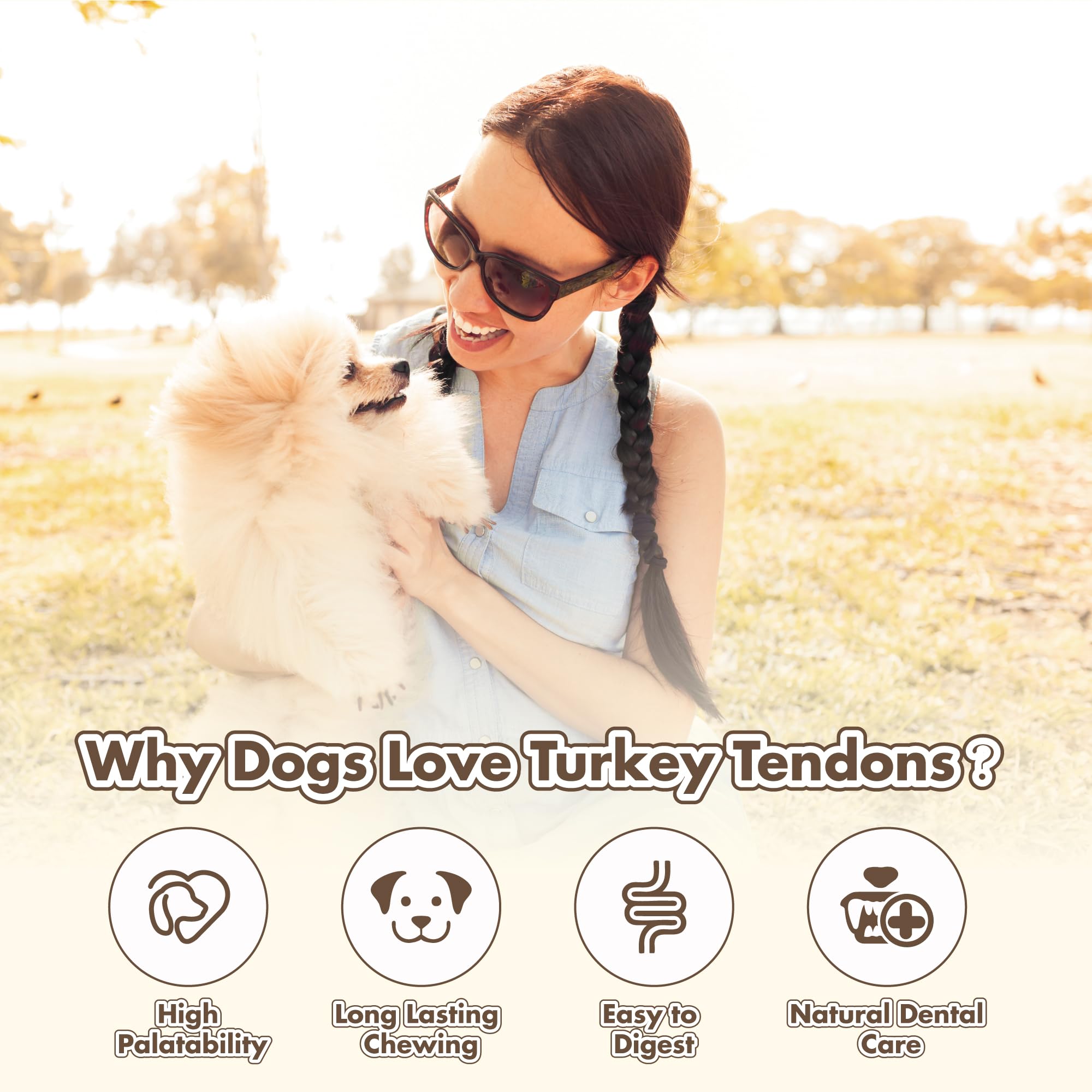 VITADAY aptos para cachorros y perros mayores
