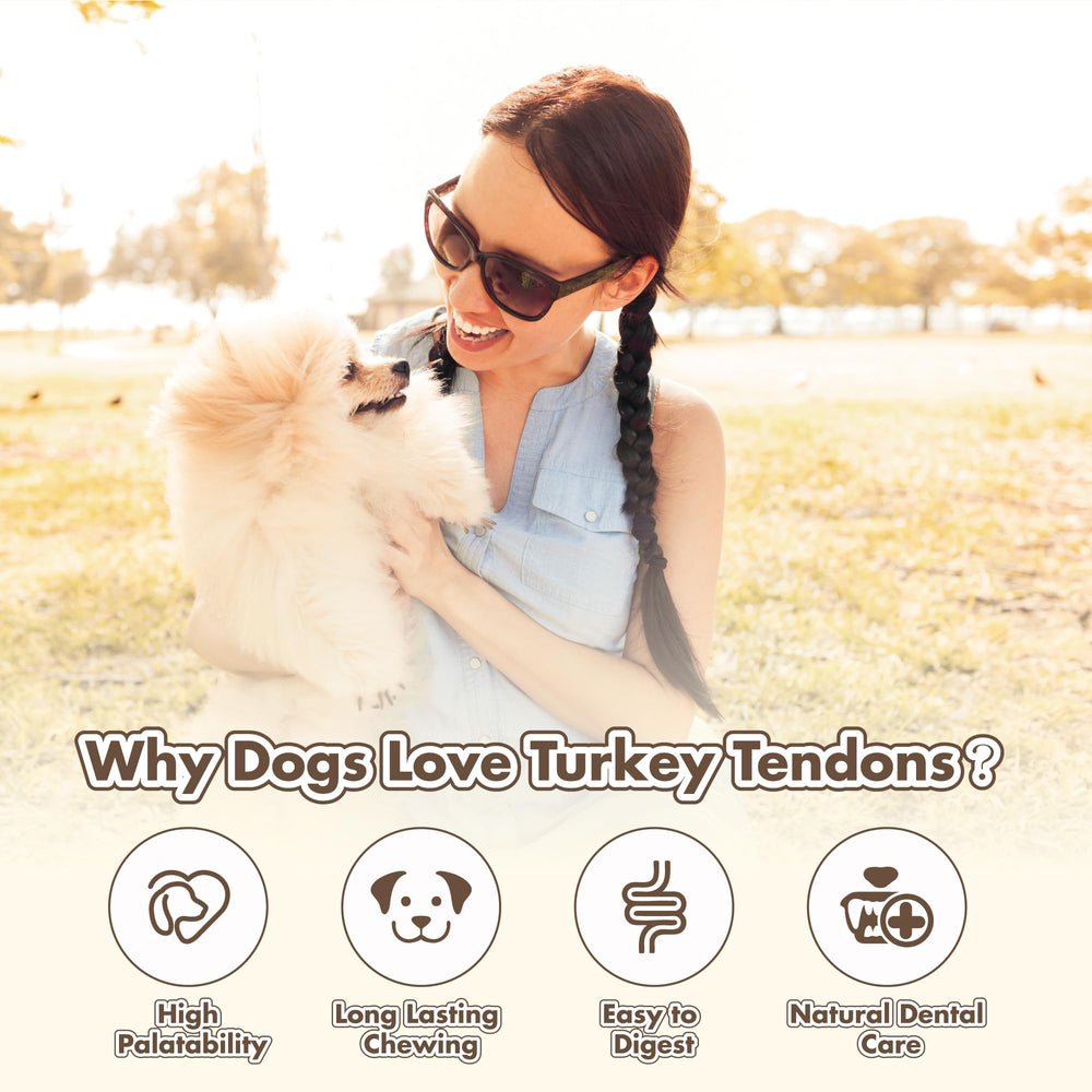 VITADAY aptos para cachorros y perros mayores