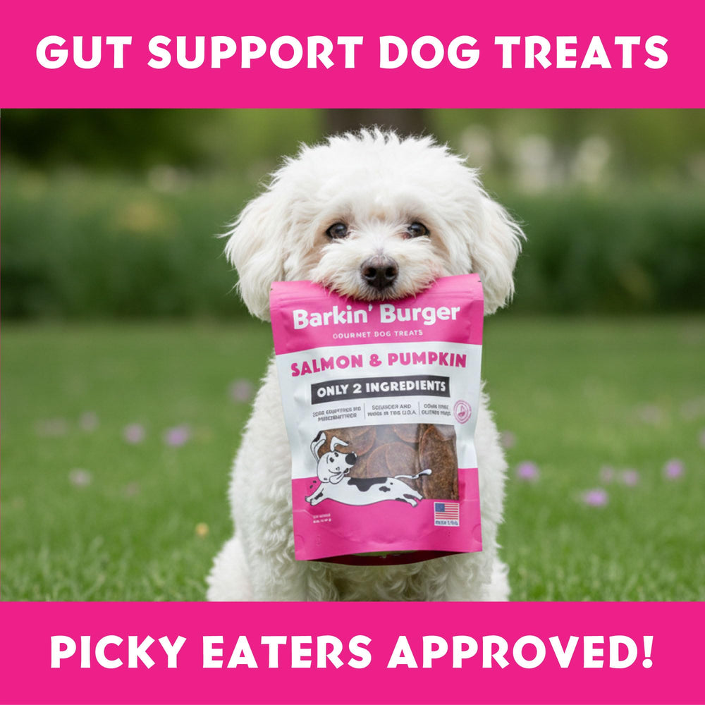 Vitafur Barkin Burger serving as grain-free bite for travel