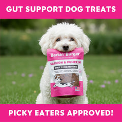 Vitafur Barkin Burger serving as grain-free bite for travel