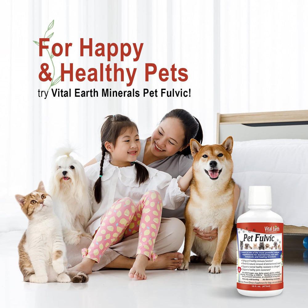 Vital Earth Minerals Pet Fulvic food-dish integration image implies easy adding.