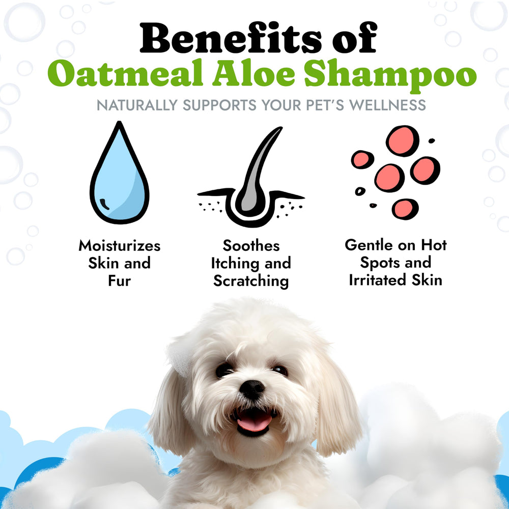Vital Pet Life dog shampoo lather closeup shows gentle cleansing for sensitive skin
