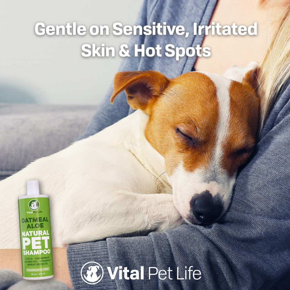 Vital Pet Life logo and bottle emphasize family-owned US brand for trusted pet care