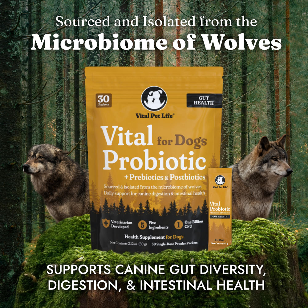 Vital Probiotics for Dogs packets on food bowl illustrate convenient daily dosing.
