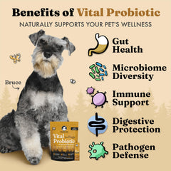Vital Probiotics for Dogs powder texture closeup shows easy-to-use, ready-to-serve formula.