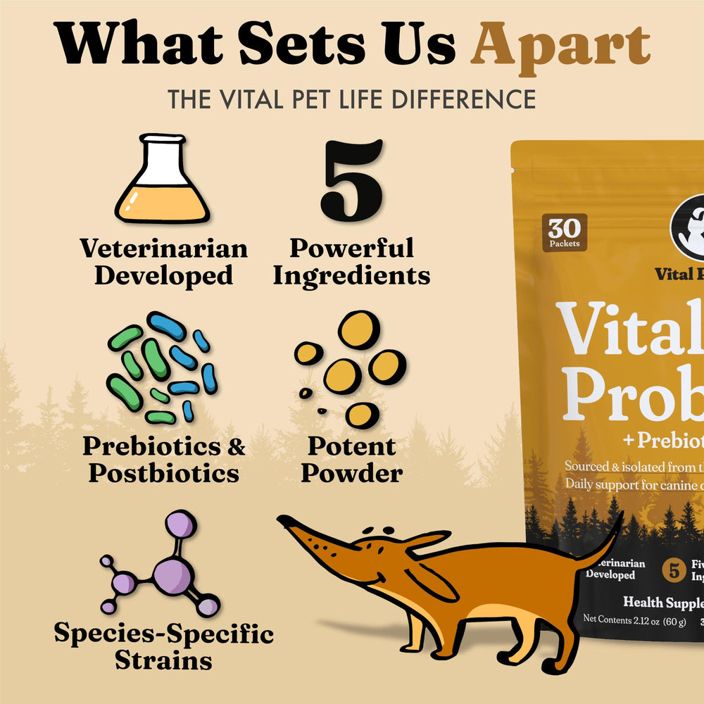 Vital Probiotics for Dogs vet-developed label emphasizes species-specific wolf strains.