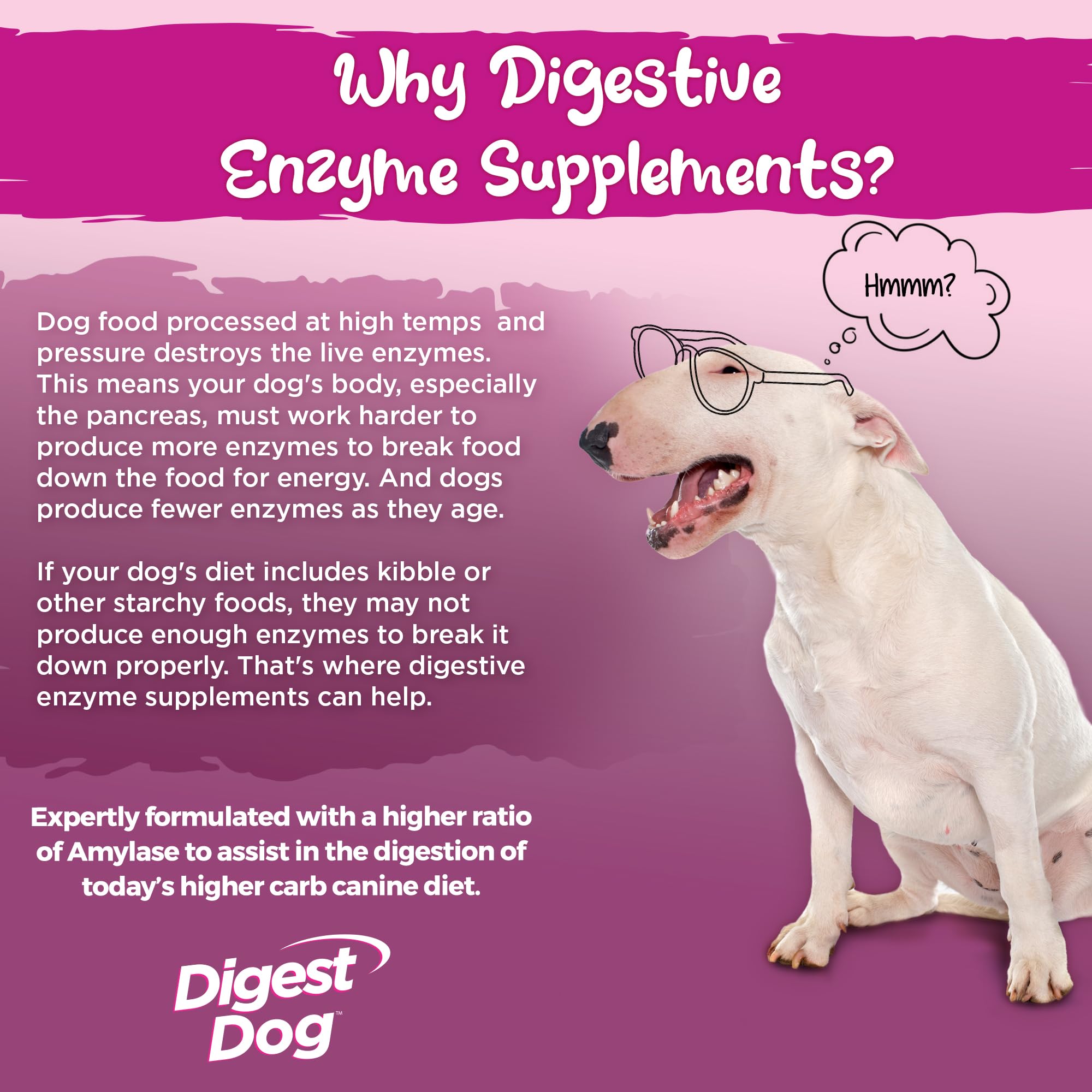 Vital Planet Digest Dog beef powder pour highlights easy sprinkling for meals