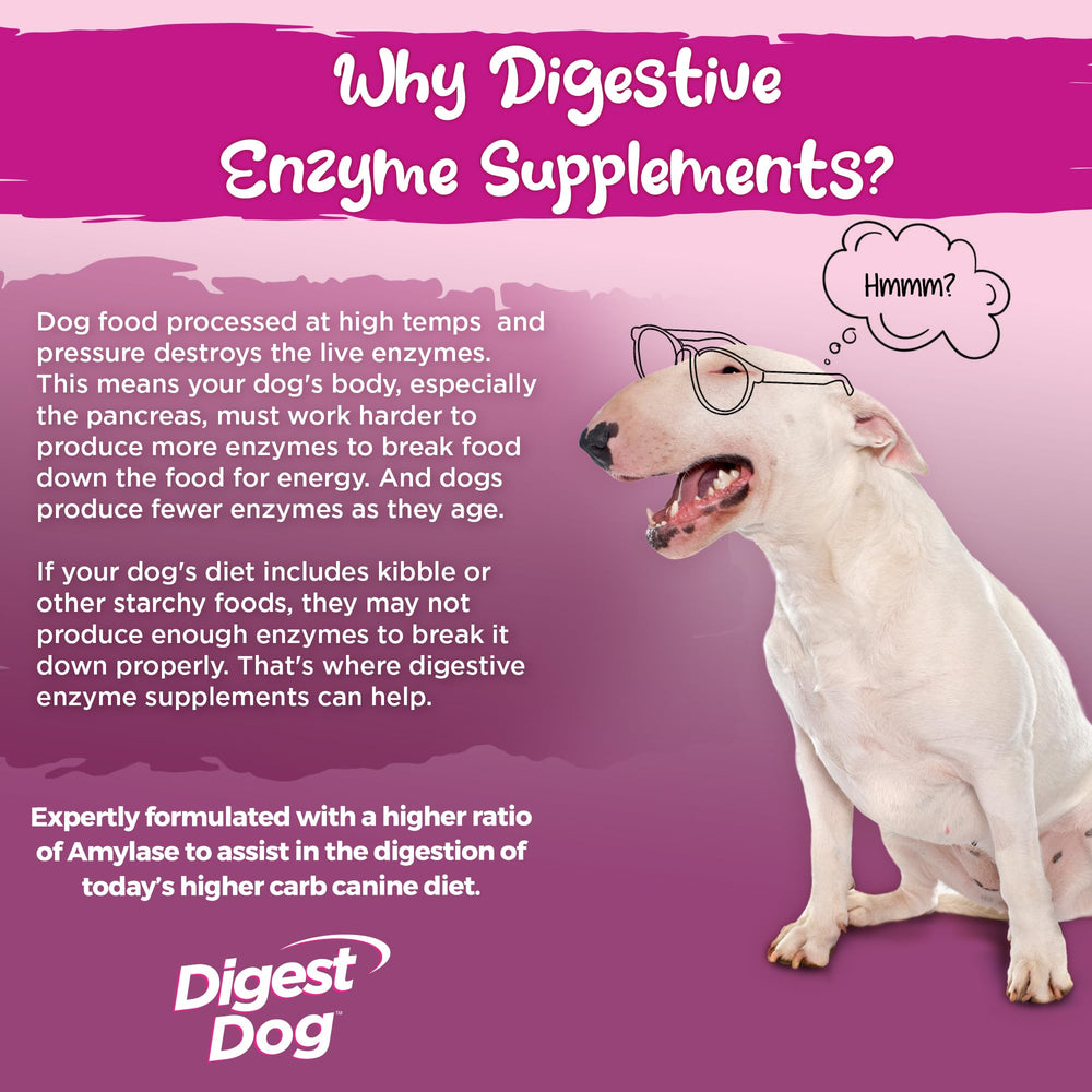 Vital Planet Digest Dog beef powder pour highlights easy sprinkling for meals