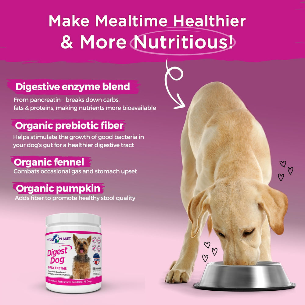 Vital Planet Digest Dog meal-mix closeup demonstrates tasty beef flavor