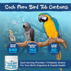 Flora Bird mixed into bird food for easy daily administration.