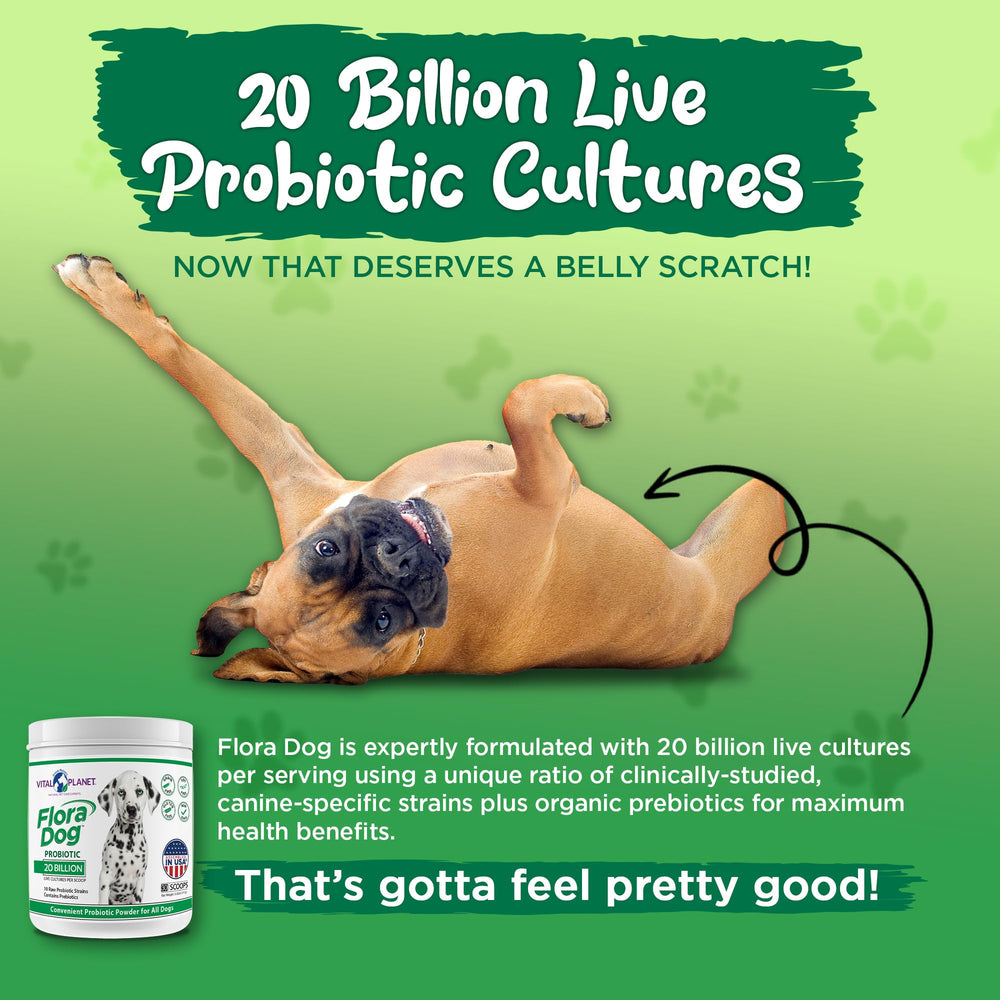 Vital Planet Flora Dog feeding scene showing powder sprinkled on dog food for convenience.