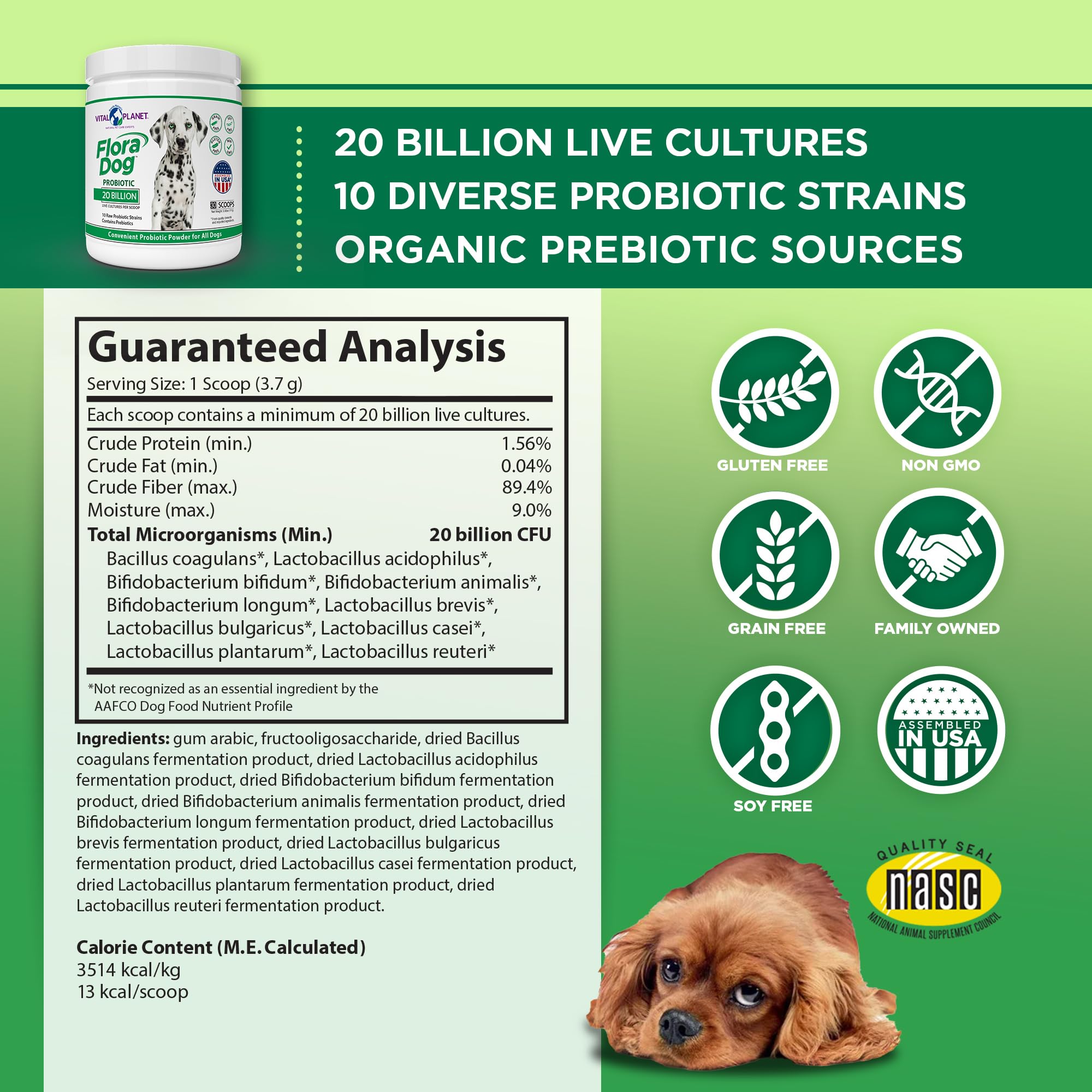 Vital Planet Flora Dog powder scoop demonstrates daily digestive support.