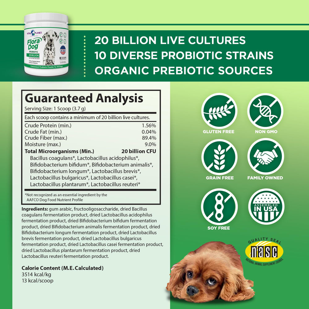 Vital Planet Flora Dog powder scoop demonstrates daily digestive support.