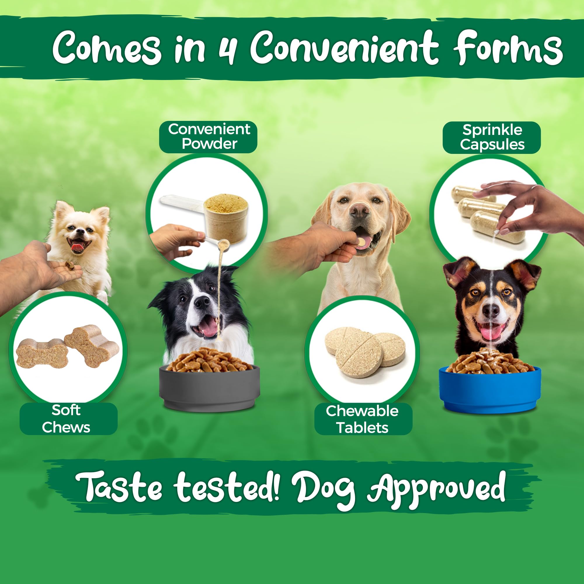 Vital Planet Flora Dog Probiotics cGMP facility badge signals purity and safety.
