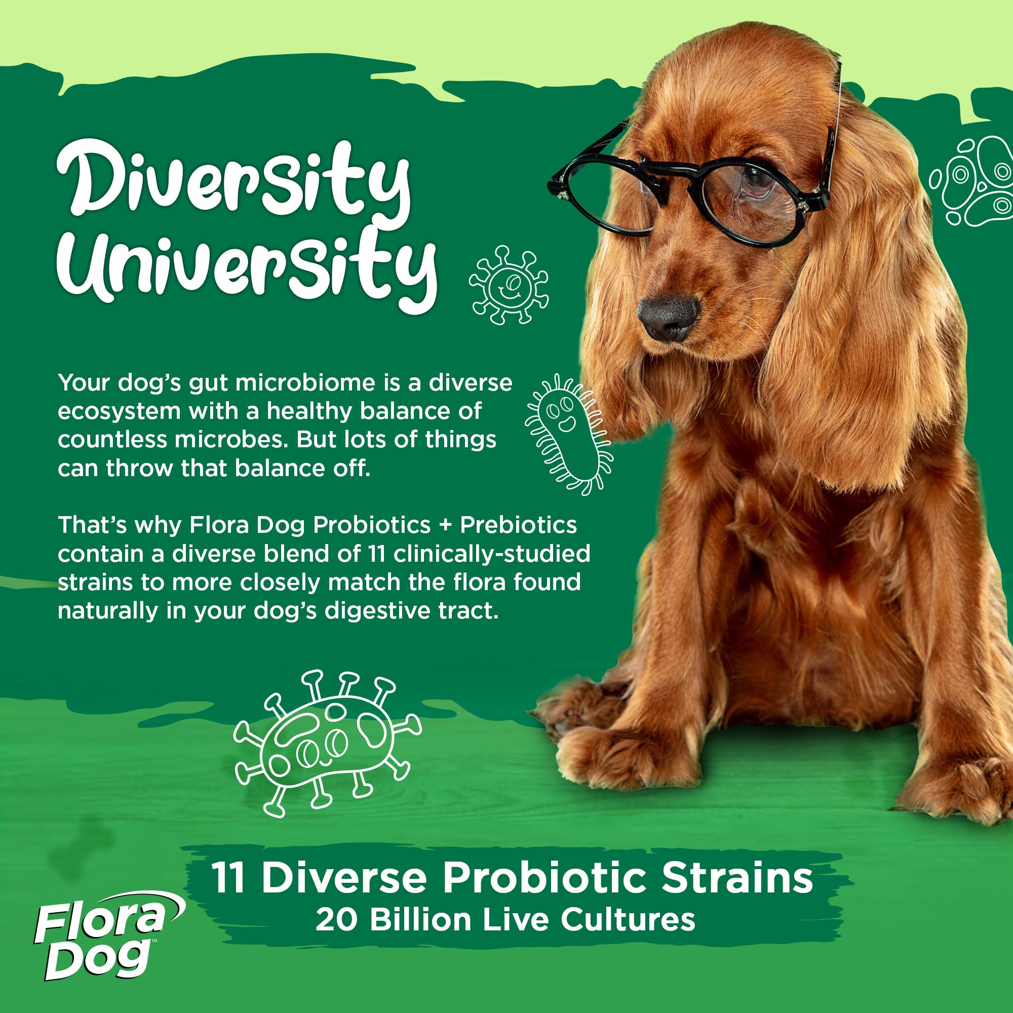 Vital Planet Flora Dog Probiotics powder form allows easy topping on meals.