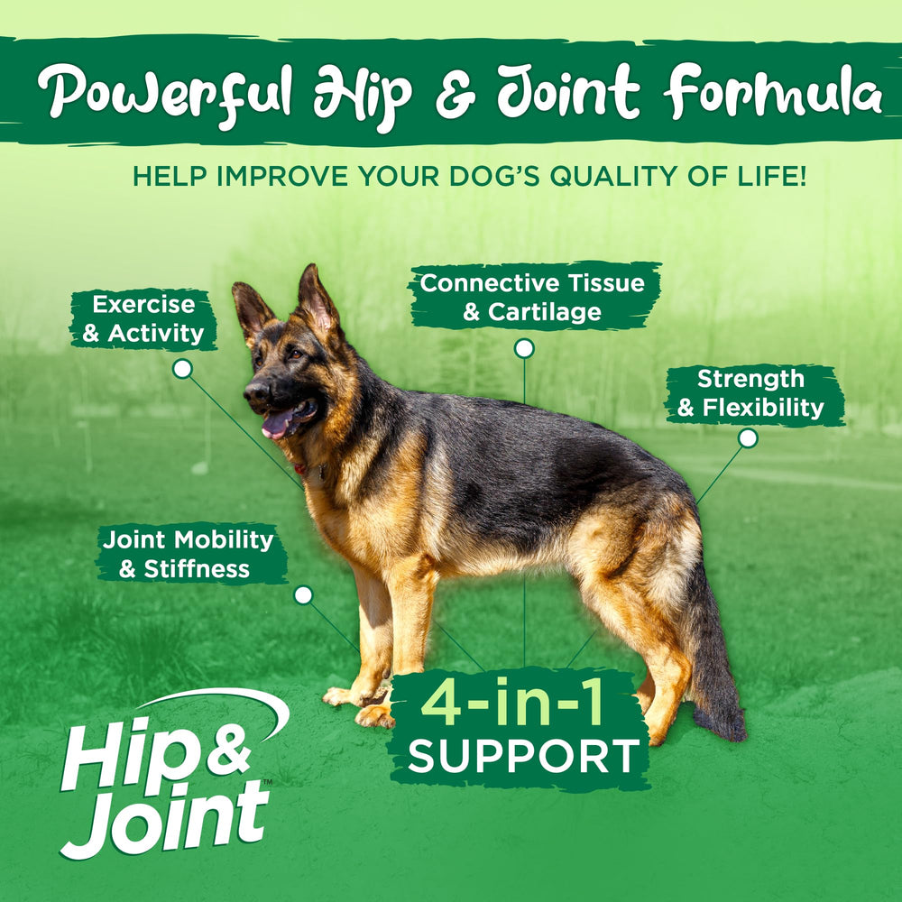 Vital Planet Hip and Joint Soft Chews bottle-label view highlights quality and purity