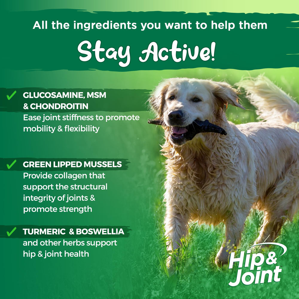 Vital Planet Hip and Joint Soft Chews dog-treat closeup demonstrates tasty bacon flavor