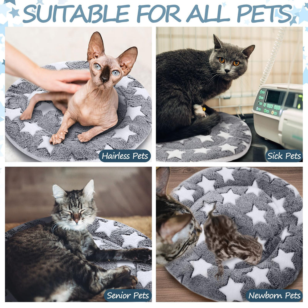 VitalCozy two-pack cat pad in crate demonstrates easy placement.