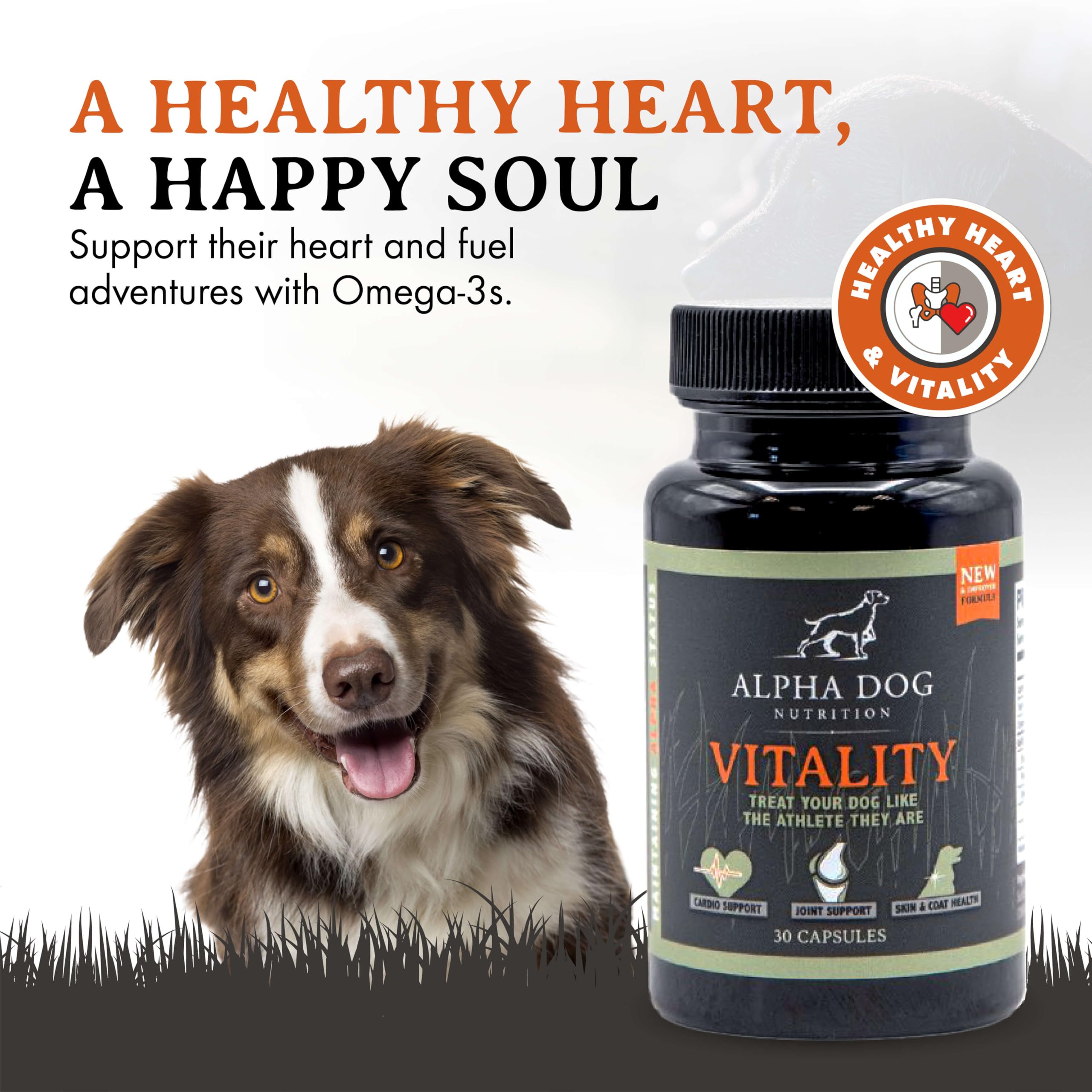 Vitality krill oil softgels closeup highlights convenient daily dosing for dogs