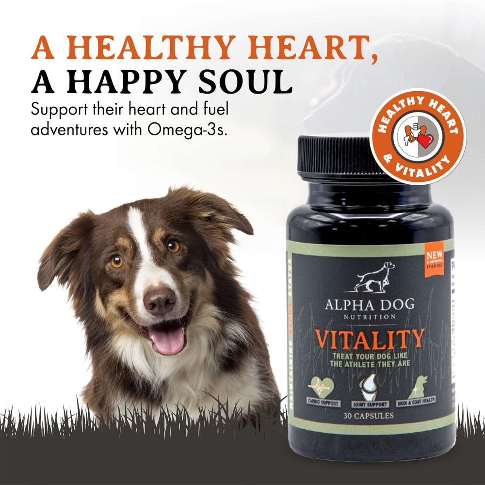 Vitality krill oil softgels closeup highlights convenient daily dosing for dogs